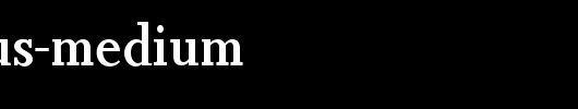 Non-Solus-Medium.ttf