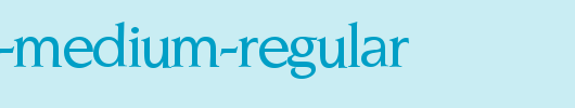 Novelty-Medium-Regular.ttf