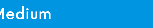 Now-Medium_英文字体