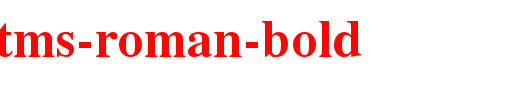 Noxchi-Tms-Roman-Bold.ttf