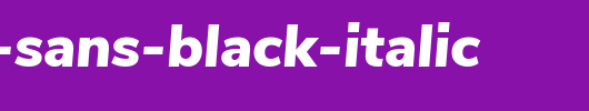 Nunito-Sans-Black-Italic.ttf