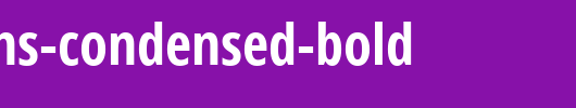 Open-Sans-Condensed-Bold.ttf英文字体下载