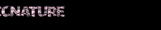 OrganicNature.ttf英文字体下载