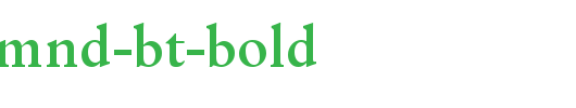 OrigGarmnd-BT-Bold.ttf英文字体下载