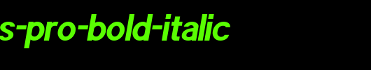 POE-Sans-Pro-Bold-Italic.ttf