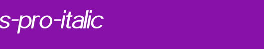 POE-Sans-Pro-Italic.ttf