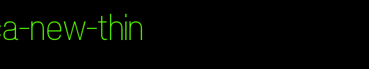 POE-Vetica-New-Thin.ttf