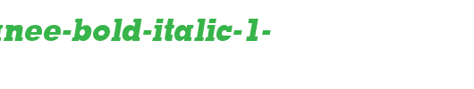 PSL-Akkhanee-Bold-Italic-1-.ttf