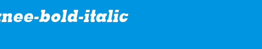 PSL-Akkhanee-Bold-Italic.ttf