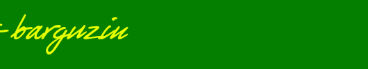 PT-Script-Barguzin.ttf