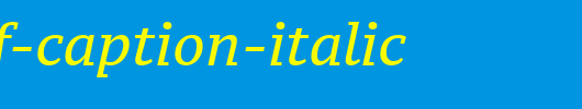PT-Serif-Caption-Italic.ttf