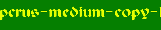 PaladinPCRus-Medium-copy-1-.ttf