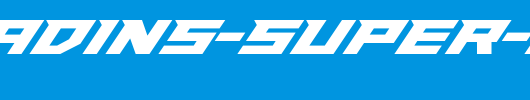 Paladins-Super-Italic.ttf
