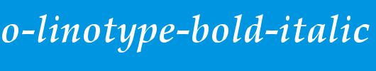 Palatino-Linotype-Bold-Italic_英文字体