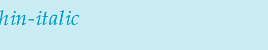 Palatino-Thin-Italic.ttf