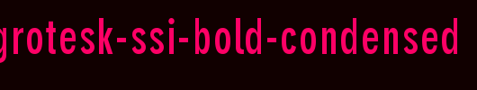 Parallax-Grotesk-SSi-Bold-Condensed_英文字体