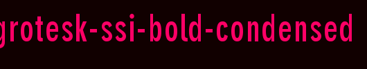 Parallax-Grotesk-SSi-Bold-Condensed.ttf