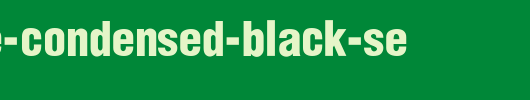 Partridge-Condensed-Black-Se.ttf