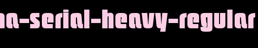 Pasadena-Serial-Heavy-Regular.ttf