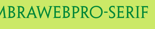 PenumbraWebPro-Serif.ttf