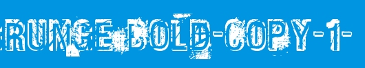 Phat-Grunge-Bold-copy-1-.ttf