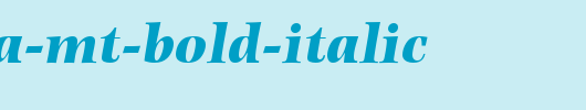 Photina-MT-Bold-Italic.ttf
