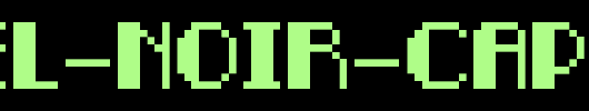 Pixel-Noir-Caps.ttf