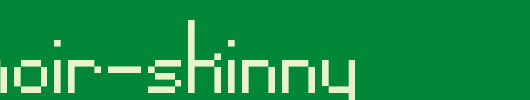 Pixel-Noir-Skinny.ttf