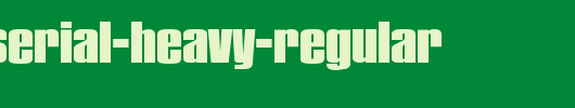PlaketteSerial-Heavy-Regular.ttf