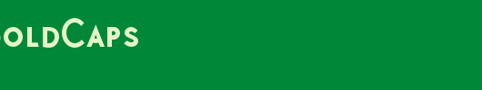 PolymerBoldCaps_英文字体