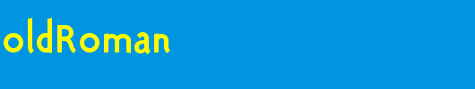 PolymerBoldRoman_英文字体