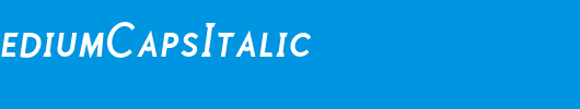 PolymerMediumCapsItalic_英文字体
