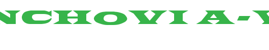 PonchoVia-Wd.ttf