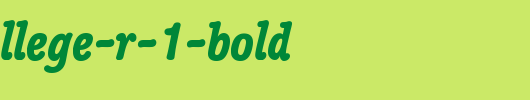 Poppl-College-R-1-Bold.ttf