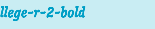 Poppl-College-R-2-Bold_英文字体
