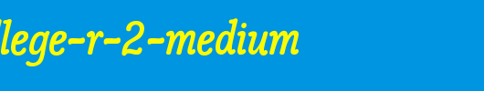 Poppl-College-R-2-Medium_英文字体