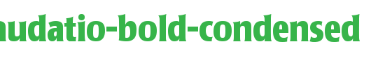Poppl-Laudatio-Bold-Condensed_英文字体