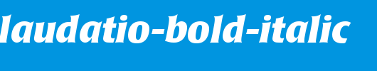Poppl-Laudatio-Bold-Italic_英文字体