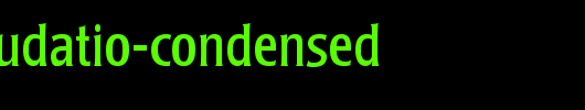 Poppl-Laudatio-Condensed_英文字体