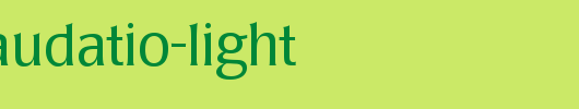 Poppl-Laudatio-Light_英文字体