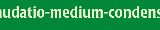 Poppl-Laudatio-Medium-Condensed_英文字体
