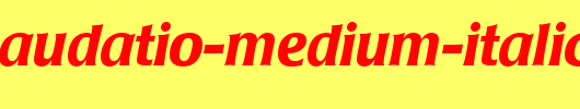 Poppl-Laudatio-Medium-Italic_英文字体
