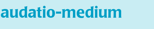 Poppl-Laudatio-Medium.ttf