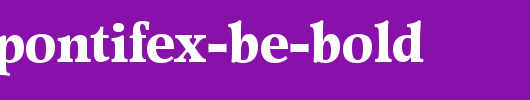 Poppl-Pontifex-BE-Bold.ttf