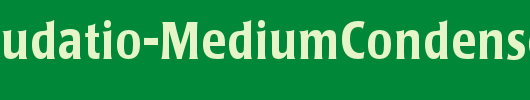 PopplLaudatio-MediumCondensed_英文字体