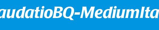 PopplLaudatioBQ-MediumItalic_英文字体
