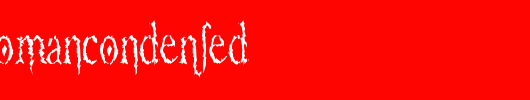 PorcupineRomanCondensed.ttf
