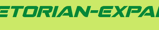 Praetorian-Expanded-Italic.ttf