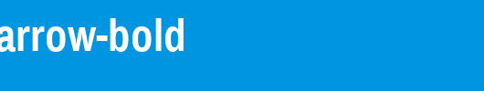 Pragati-Narrow-Bold.ttf