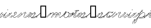 Premiers-Mots-Script-copy-2-.ttf